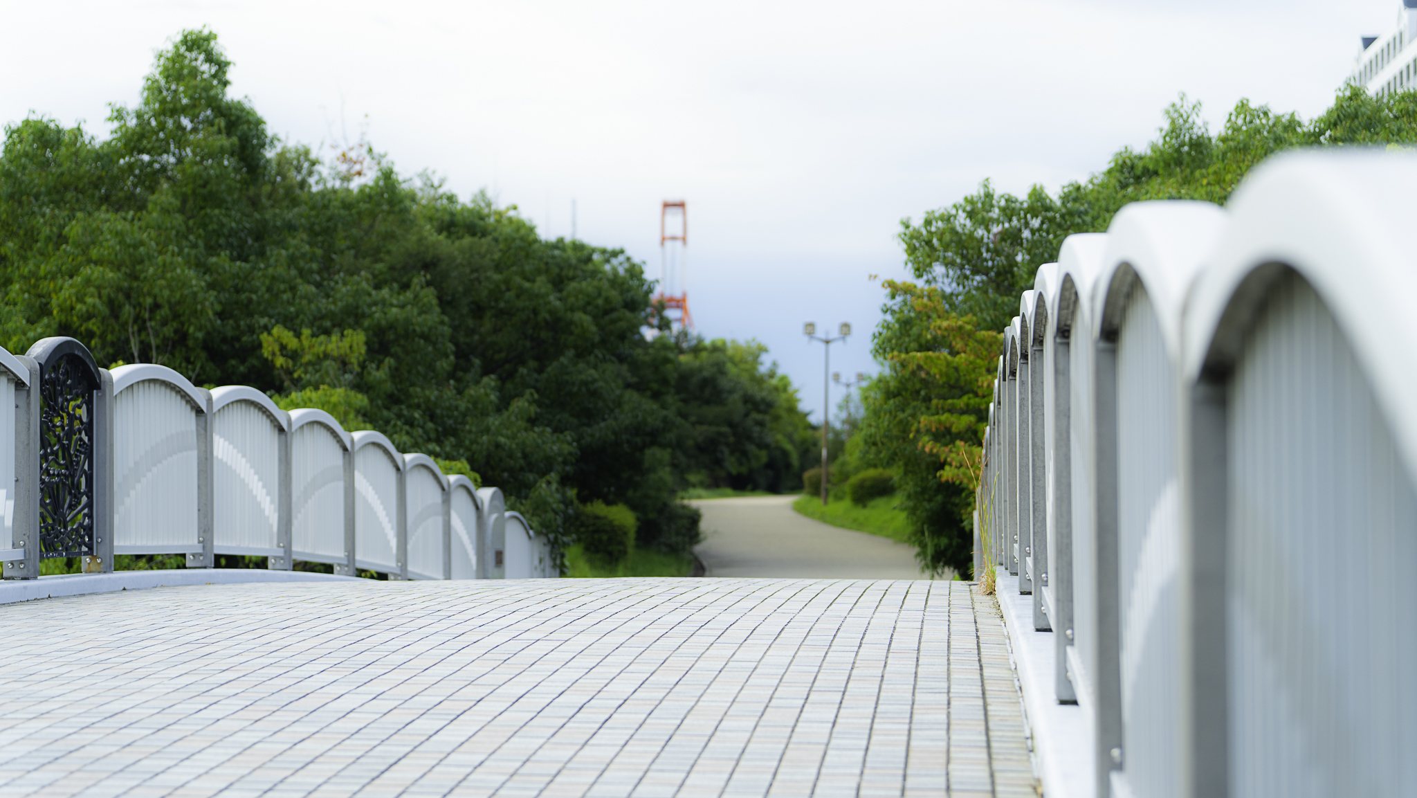 シティヒル東緑地の画像