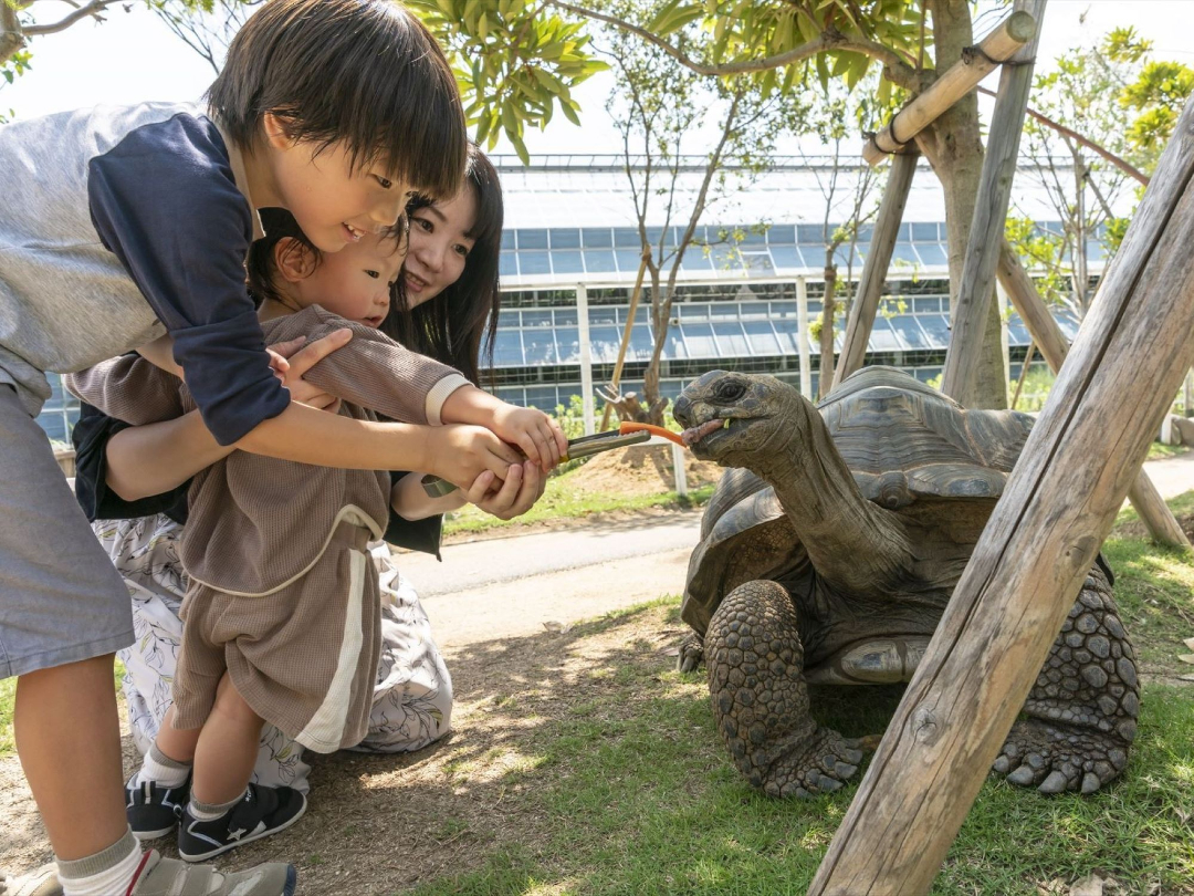 ウミガメに餌をあげている親子の写真