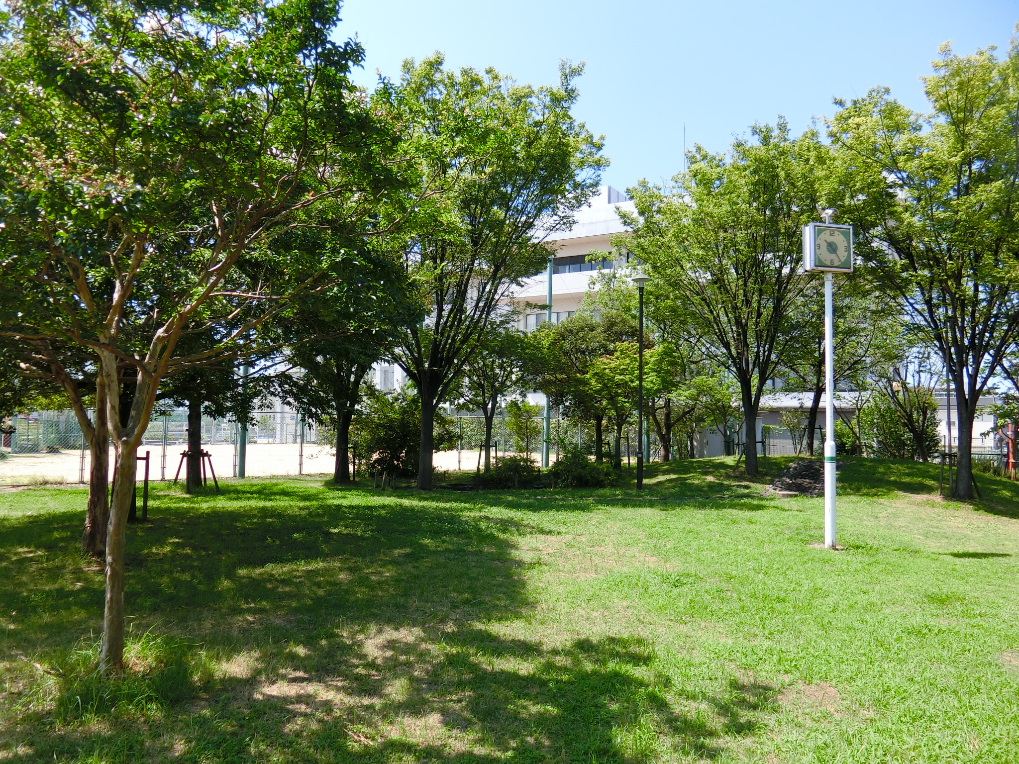 神楽公園の画像