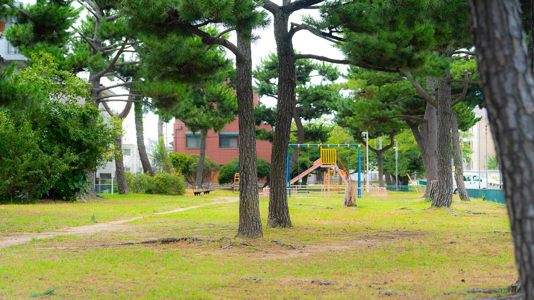 石屋川公園の画像