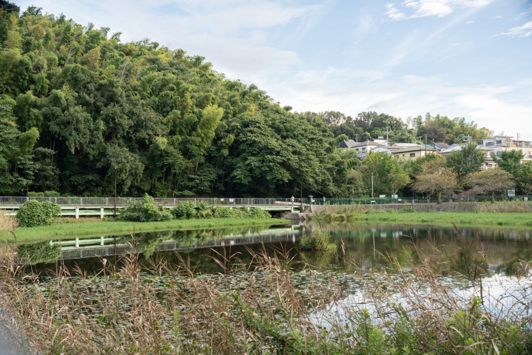 塩屋台公園の画像