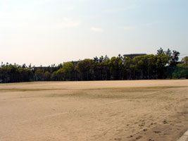 矢元台公園の画像