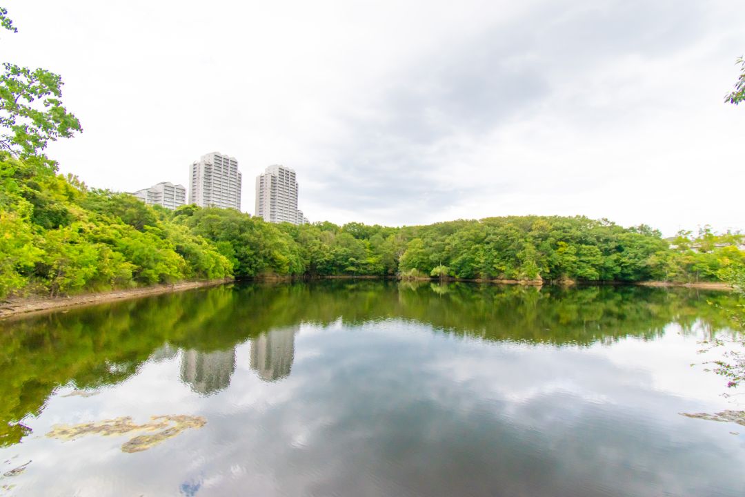 樫野台公園の画像