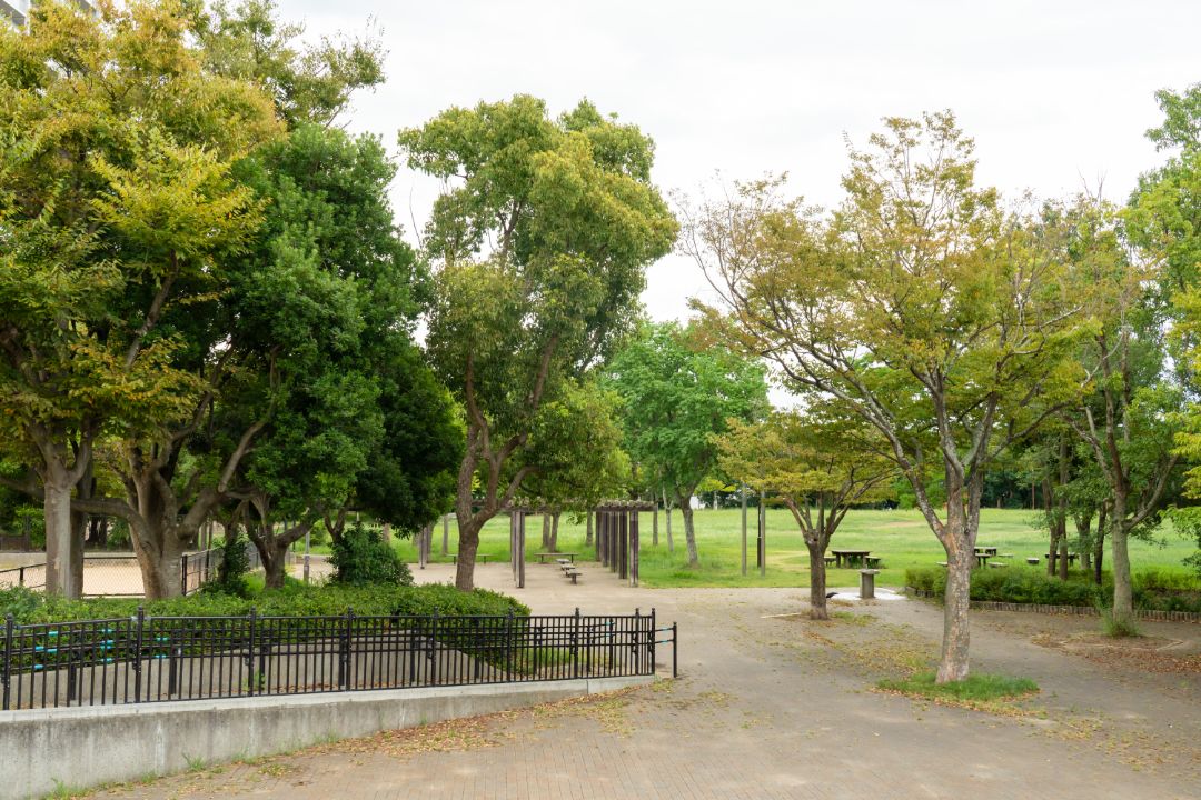 樫野台公園の画像