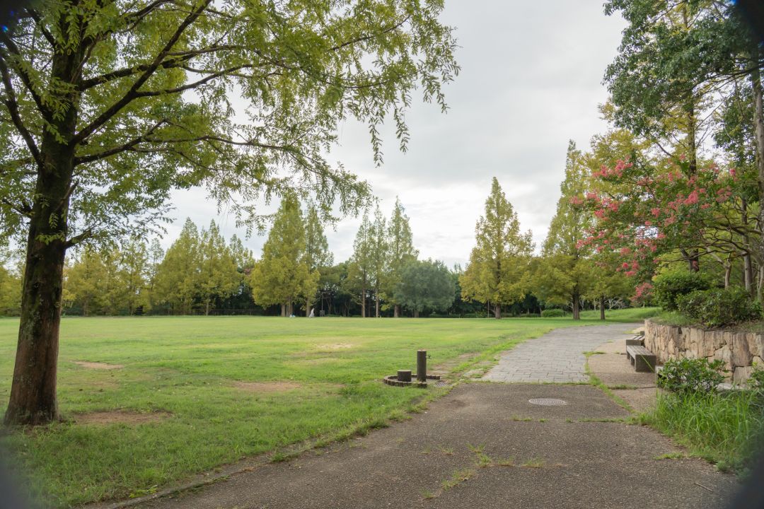 糀台公園の画像