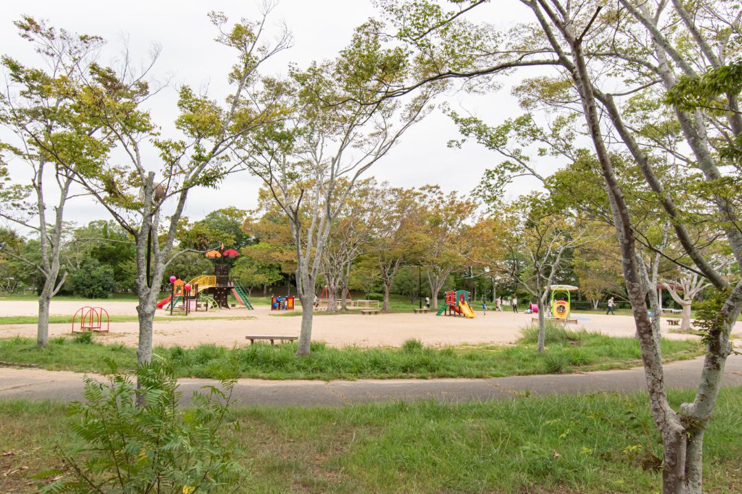 桜が丘公園の画像