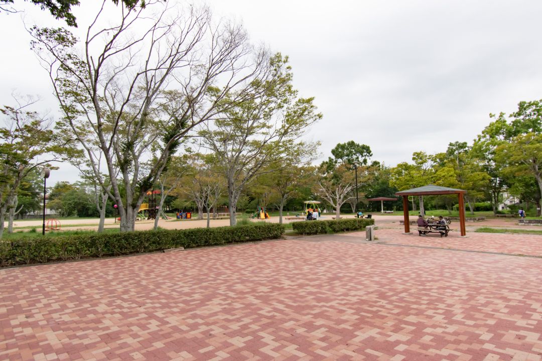 桜が丘公園の画像