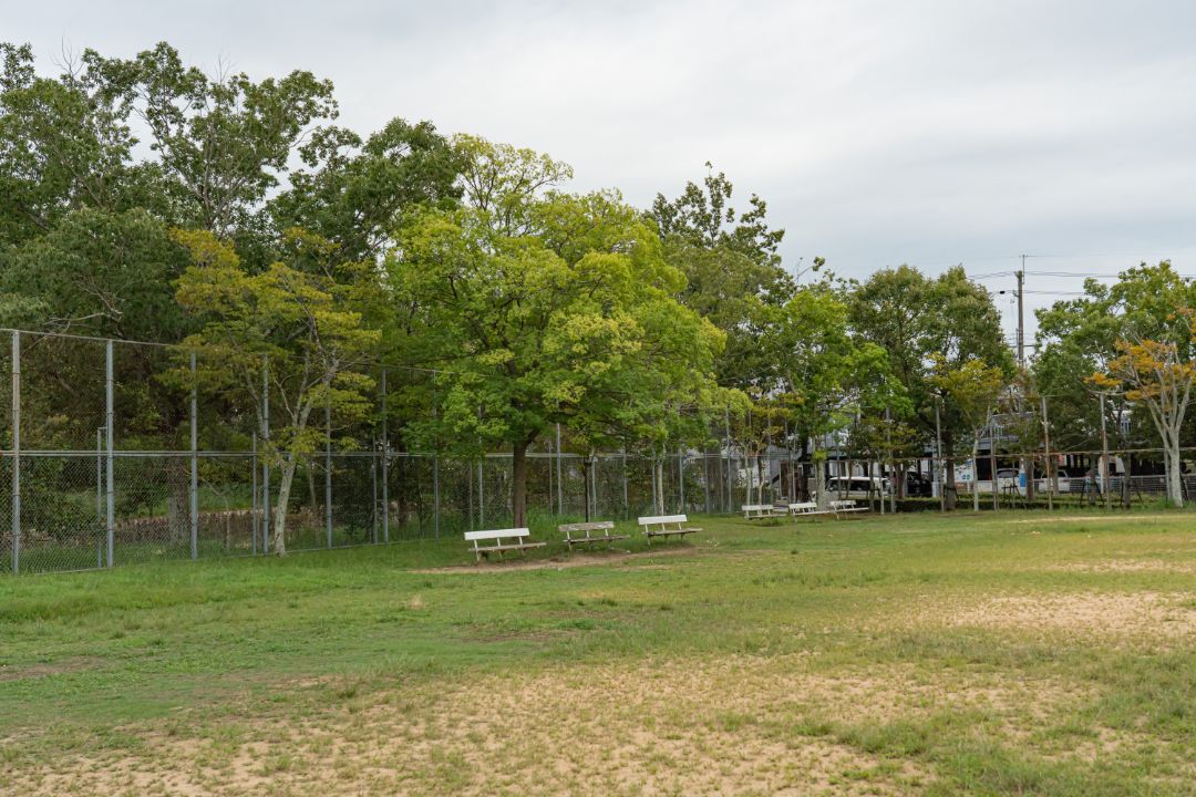 桜が丘公園の画像