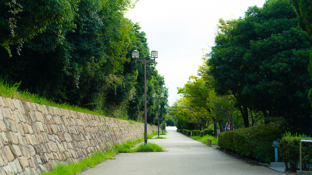 六甲アイランド公園の画像