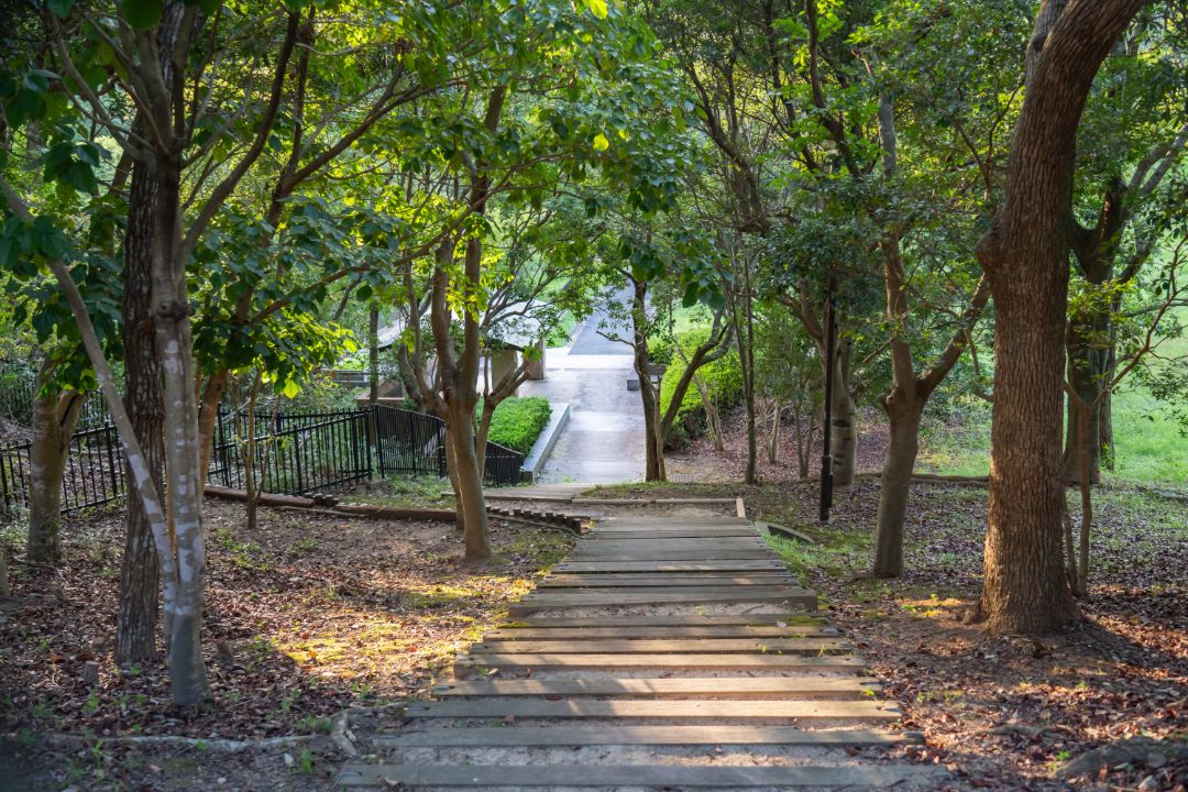 高塚公園の画像