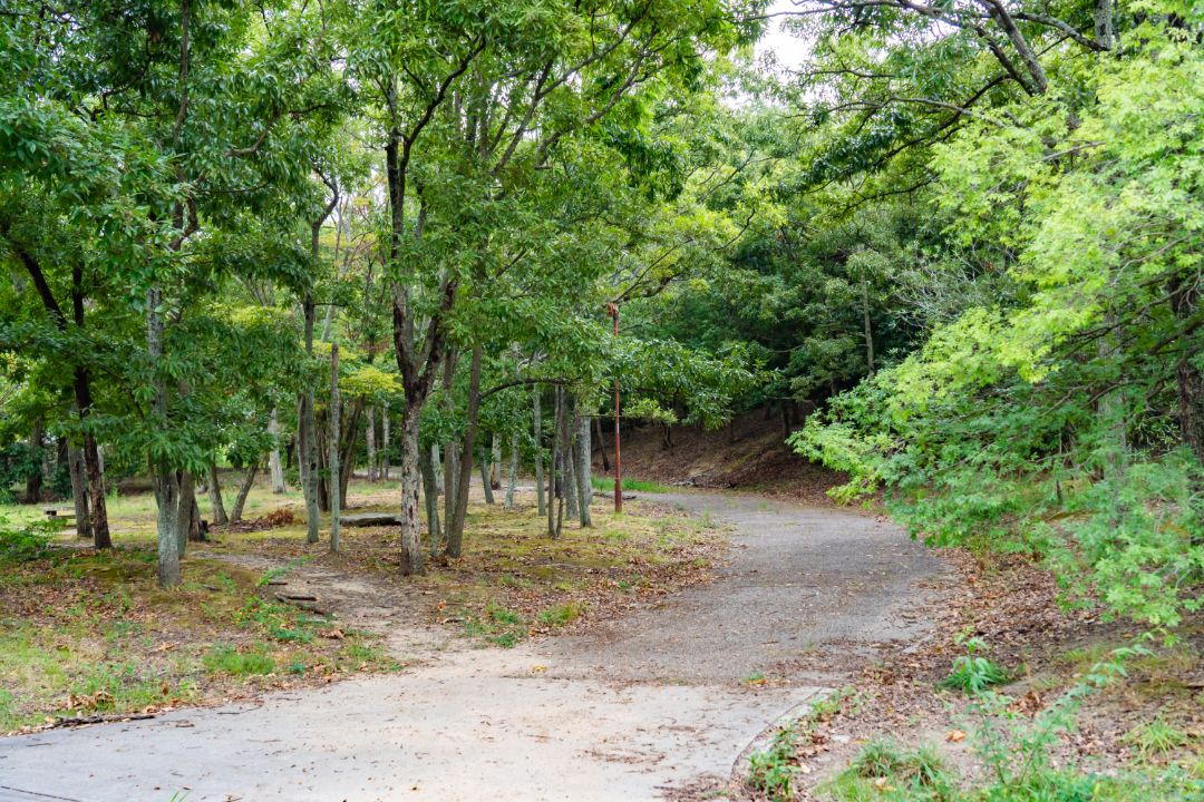 竹の台公園の画像