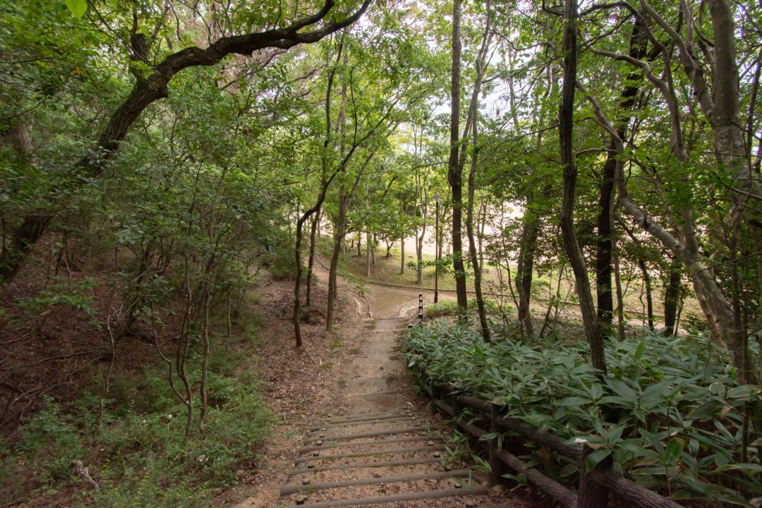 月が丘公園の画像