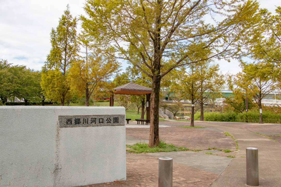 西郷川河口公園の画像