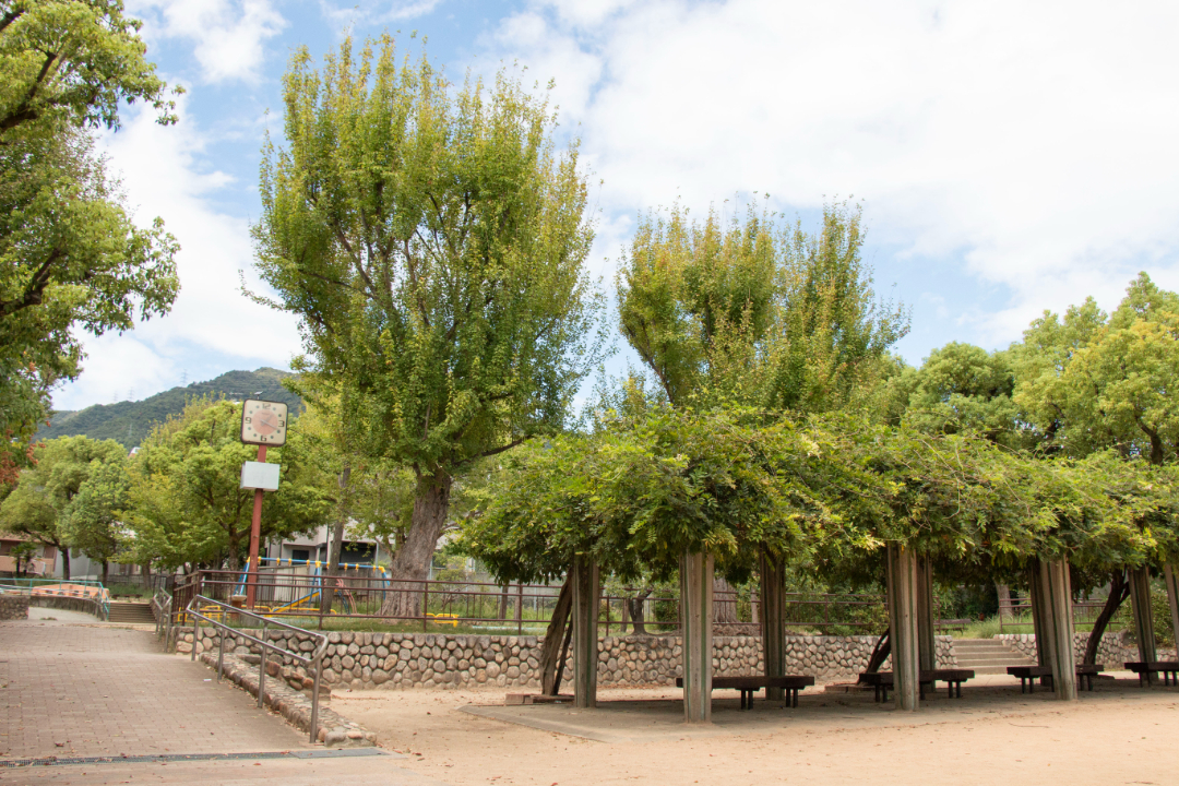 篠原公園の画像