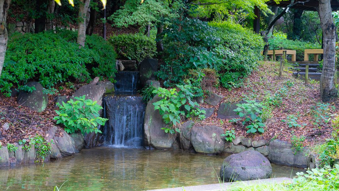 岡本公園（岡本梅林）の画像