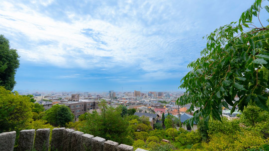 岡本公園（岡本梅林）の画像