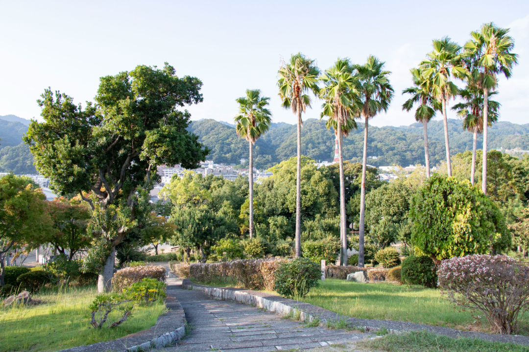 大倉山公園の画像