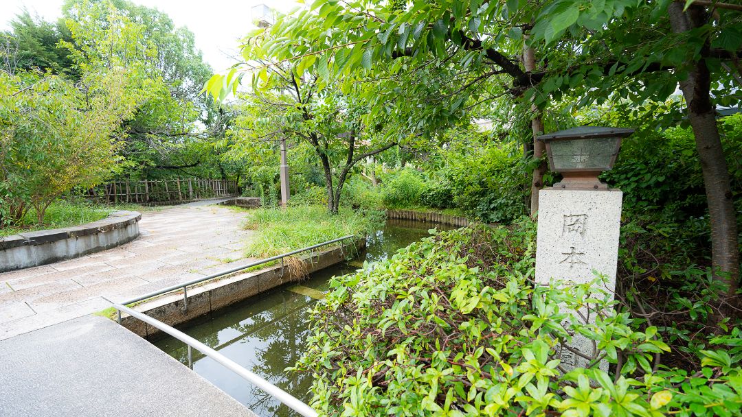 岡本南公園（桜守公園）の画像