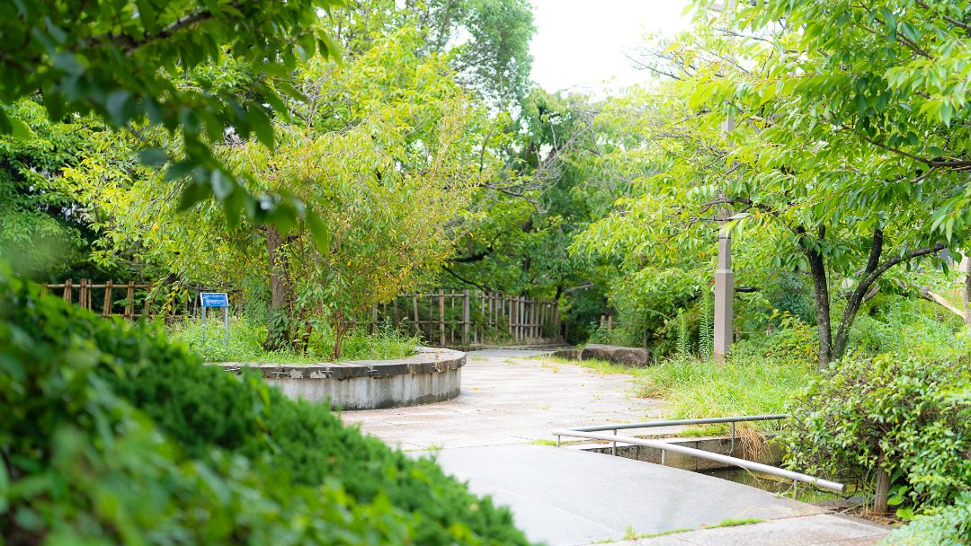 岡本南公園（桜守公園）の画像