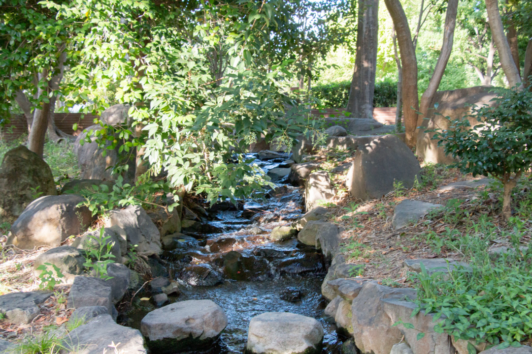 菊水公園の画像