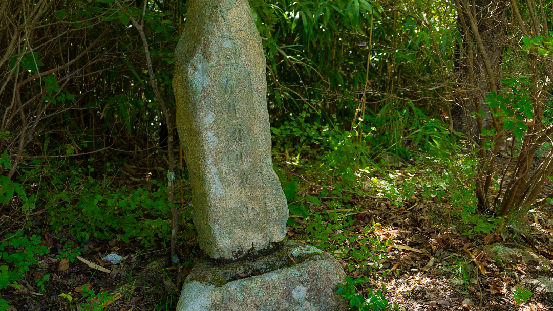 愛宕山公園の画像