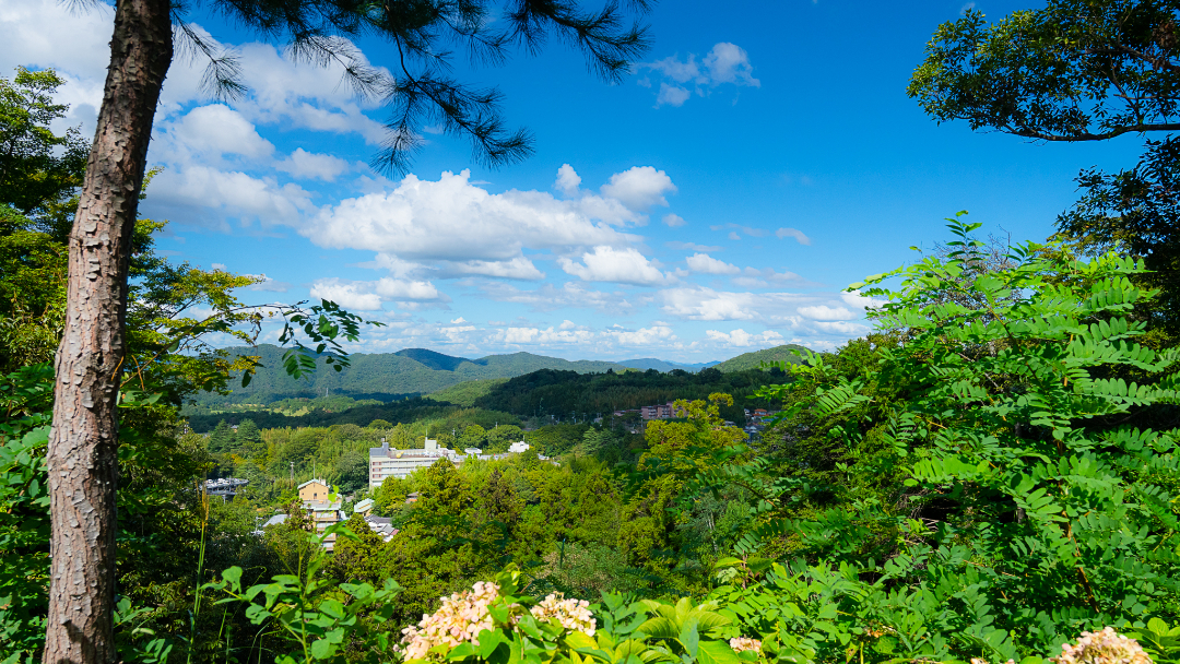 愛宕山公園の画像