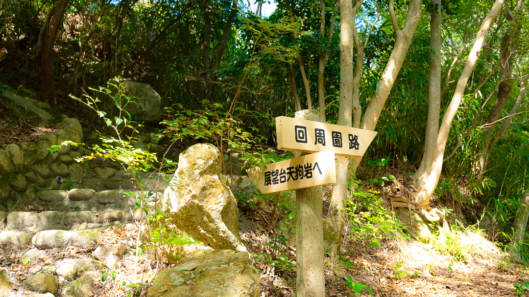 愛宕山公園の画像