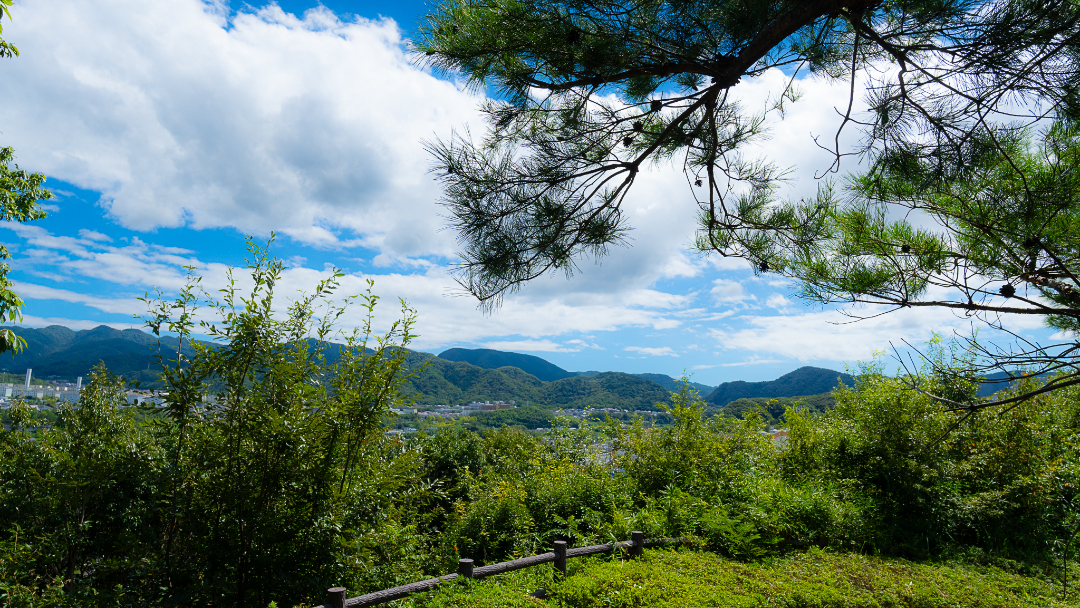 岡場公園の画像