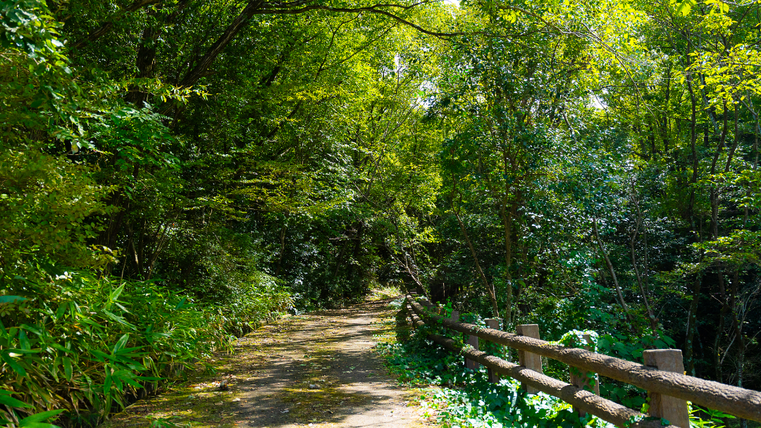 岡場公園の画像