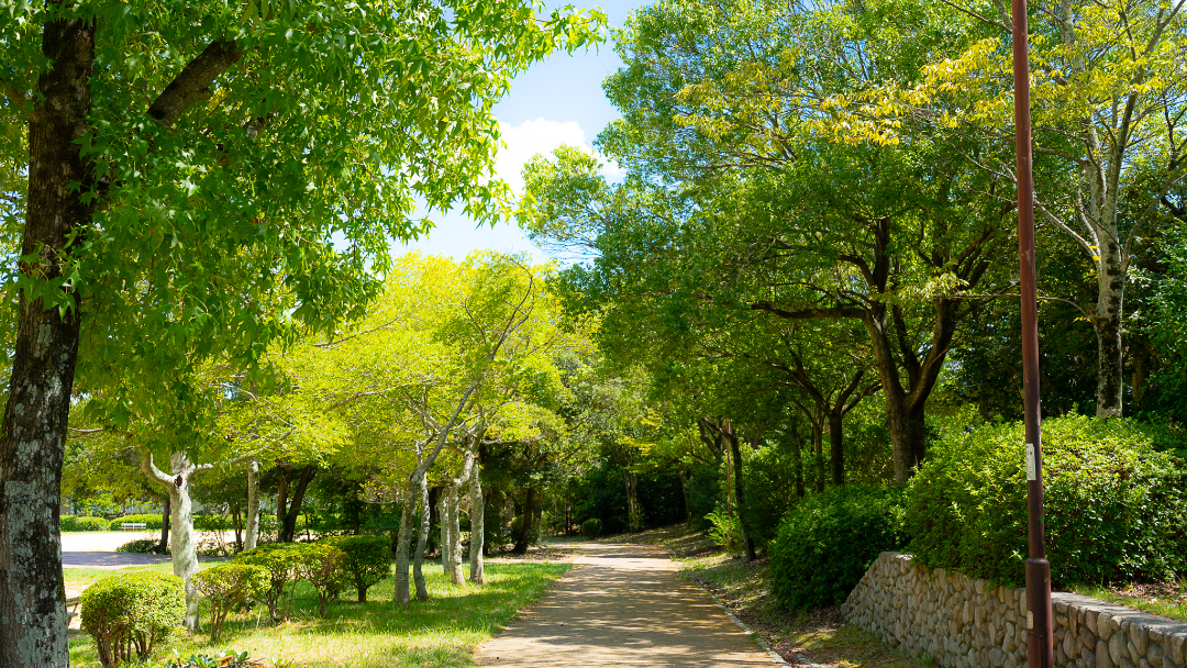 蒲池公園の画像