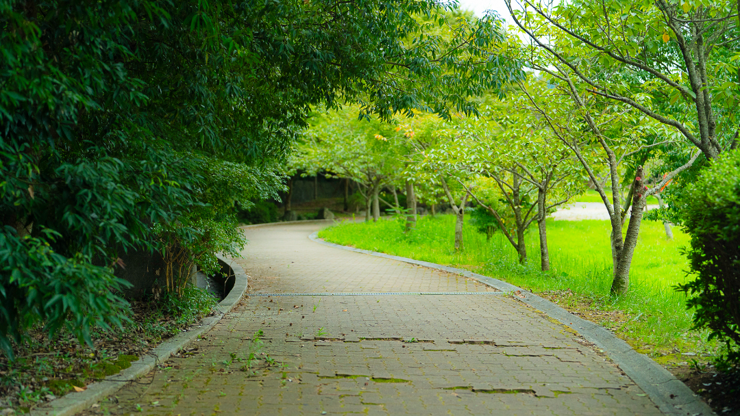 正利の尾公園の画像