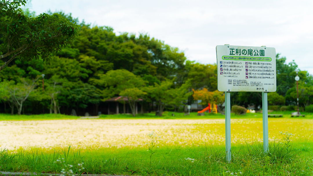 正利の尾公園の画像