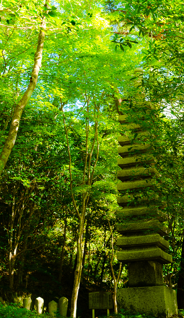 瑞宝寺公園の画像