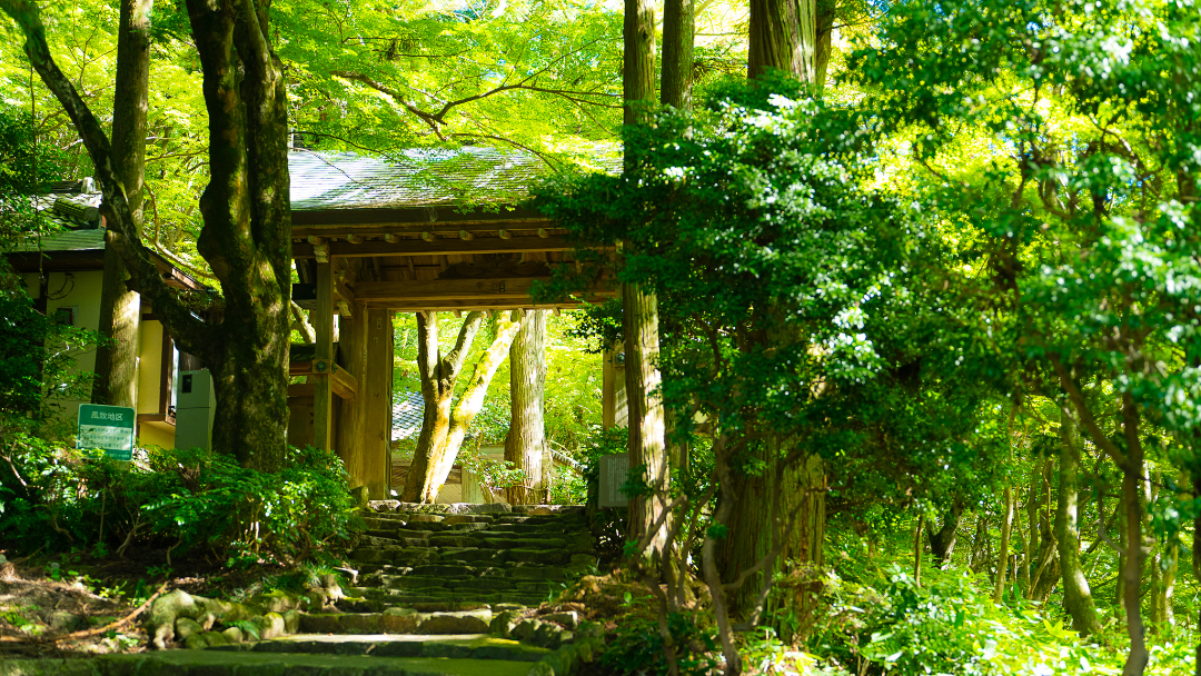 瑞宝寺公園の画像