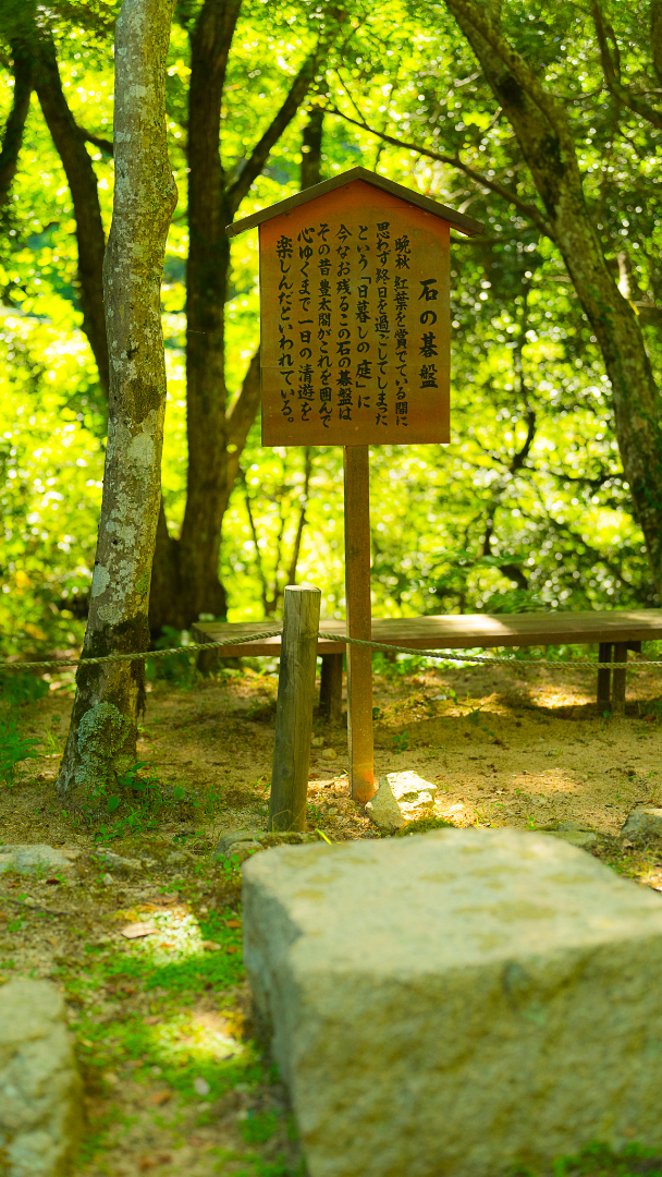 瑞宝寺公園の画像