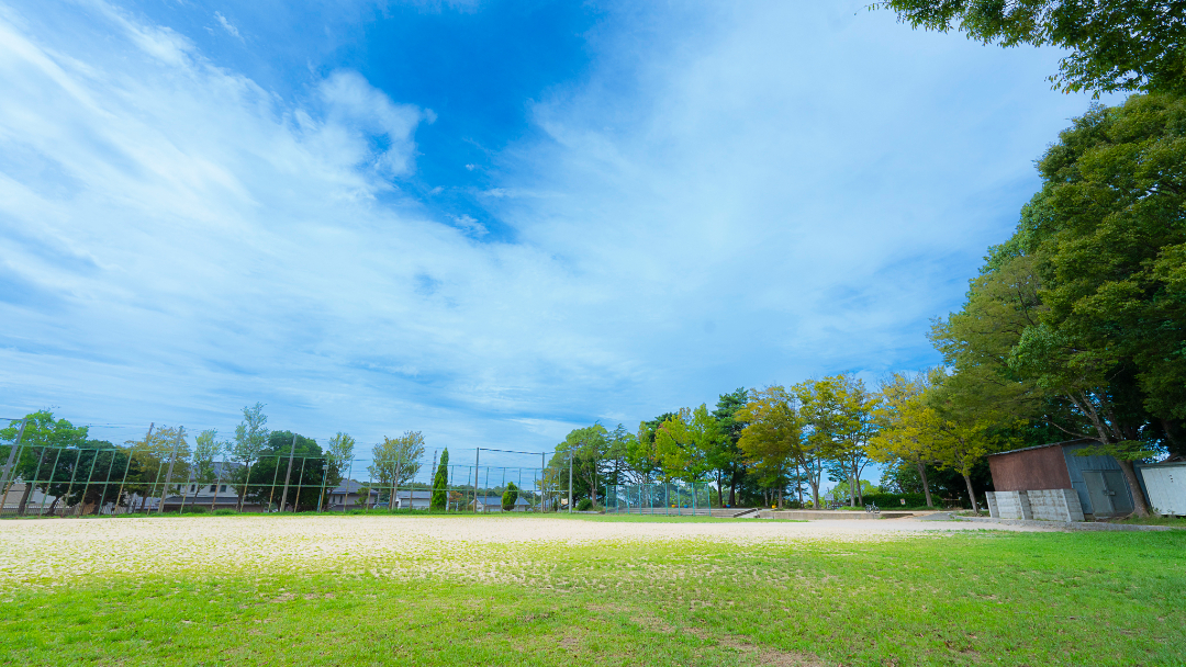 星和台公園の画像