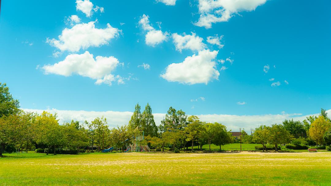 千代ヶ谷公園の画像