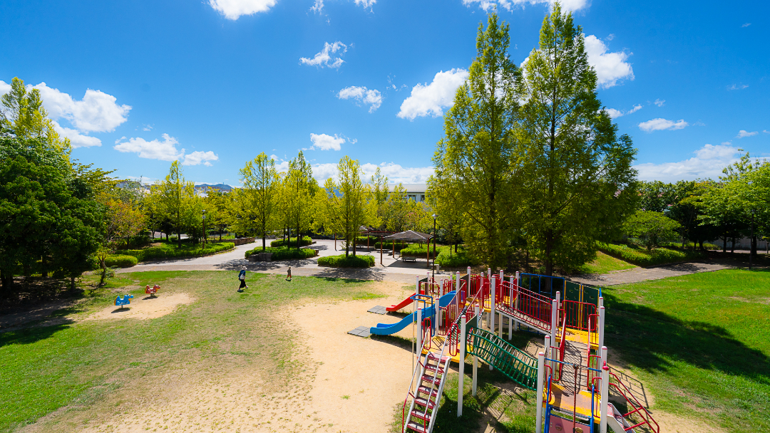 千代ヶ谷公園の画像