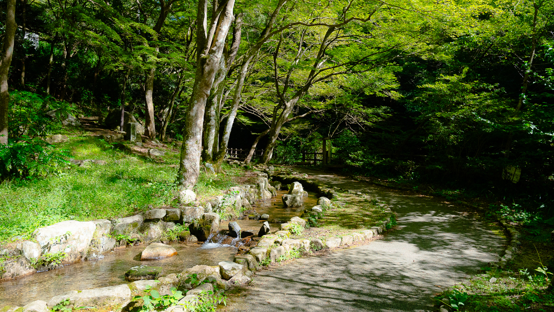 鼓ヶ滝公園の画像