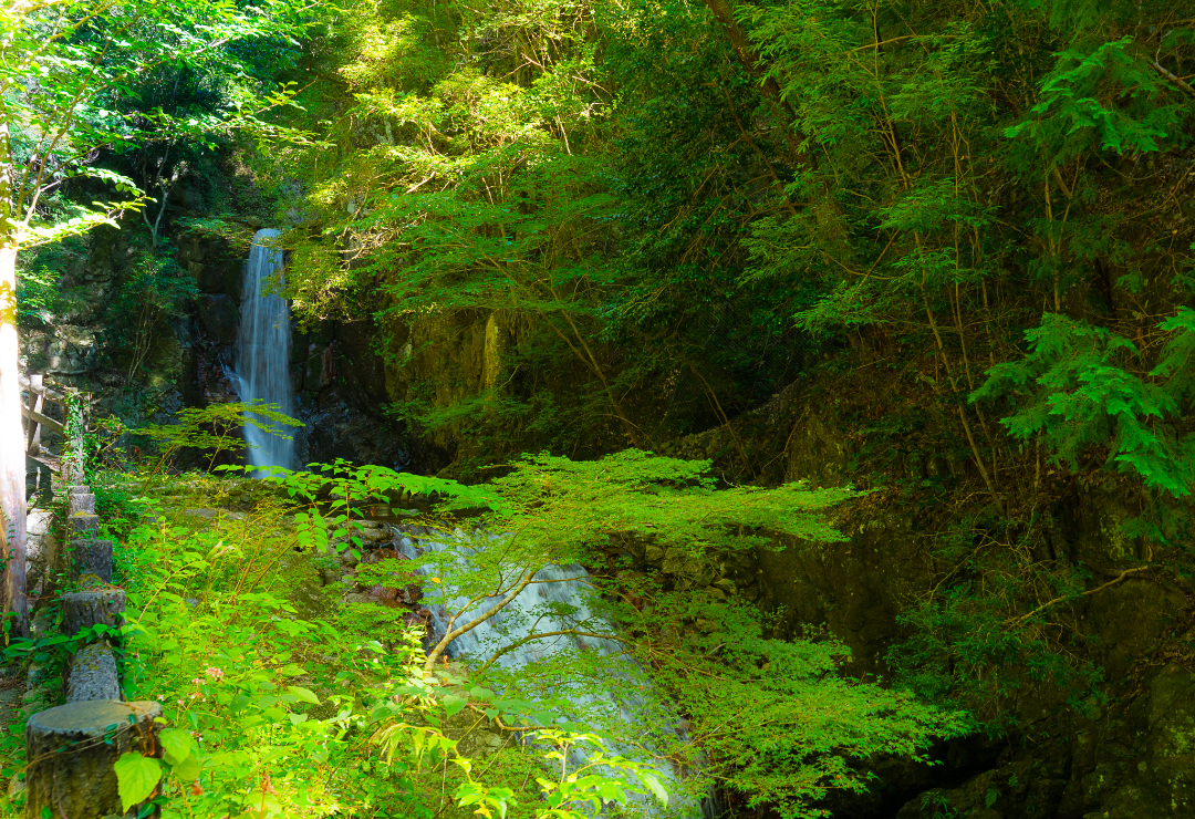 鼓ヶ滝公園の画像