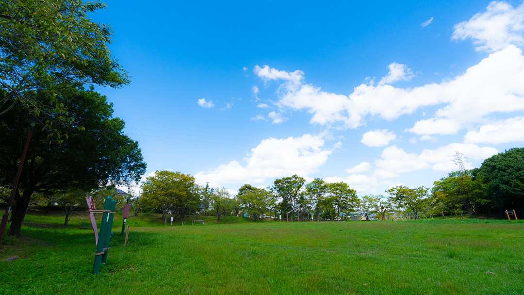 藤原山公園の画像