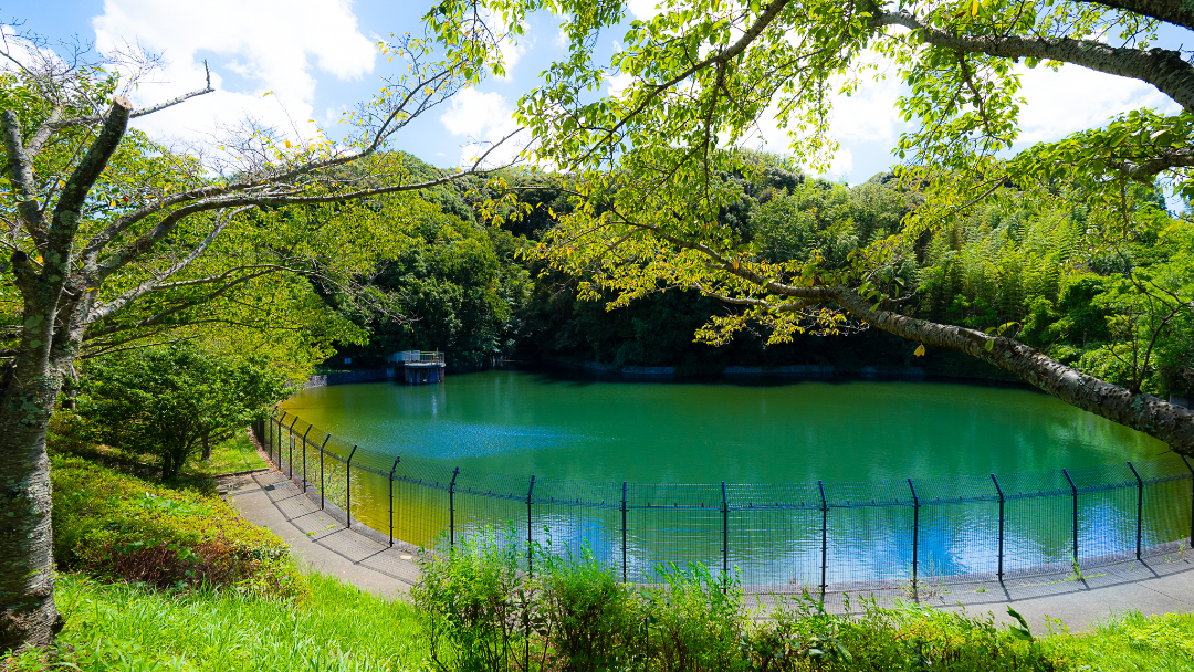 藤原山公園の画像