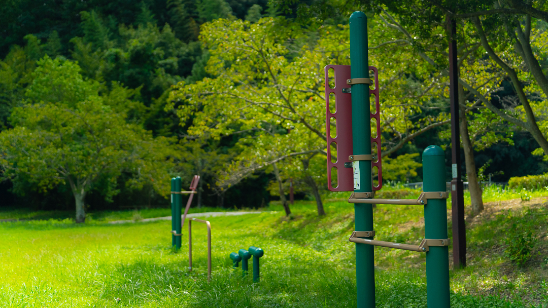 藤原山公園の画像