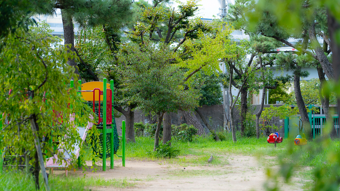 住吉川公園の画像