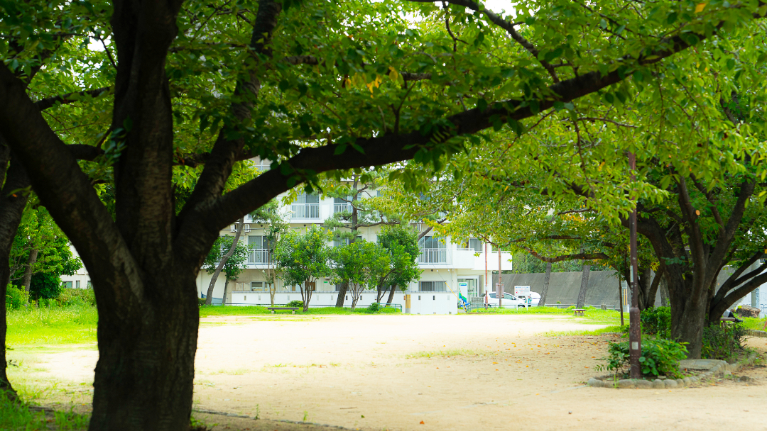 住吉川公園の画像