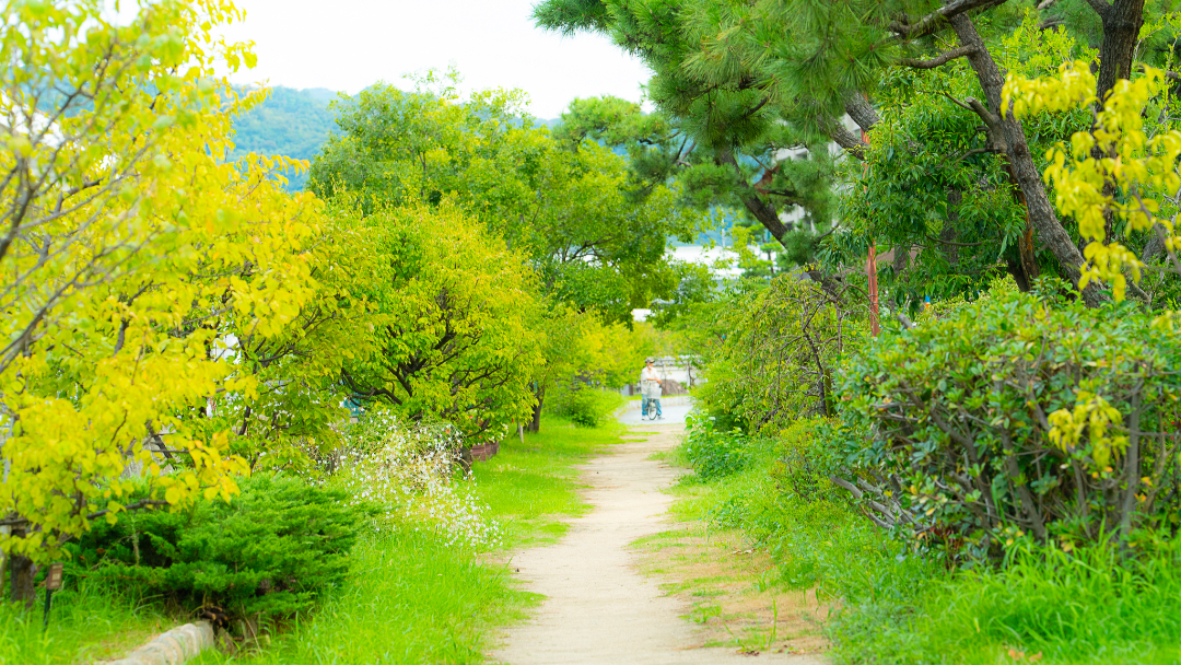 住吉川公園の画像