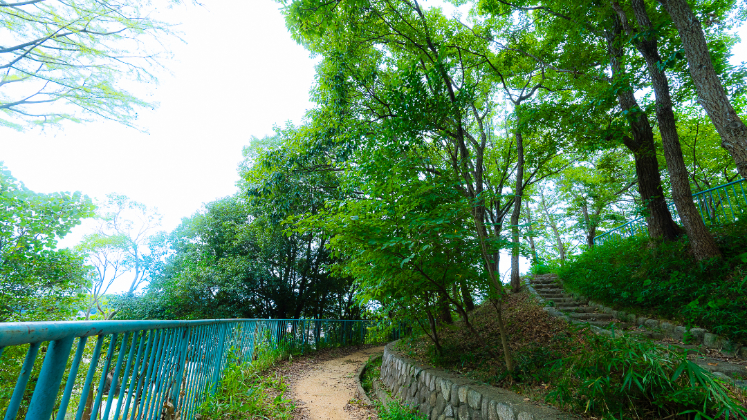 両畑公園の画像