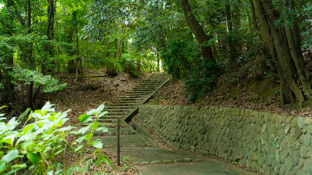 両畑公園の画像