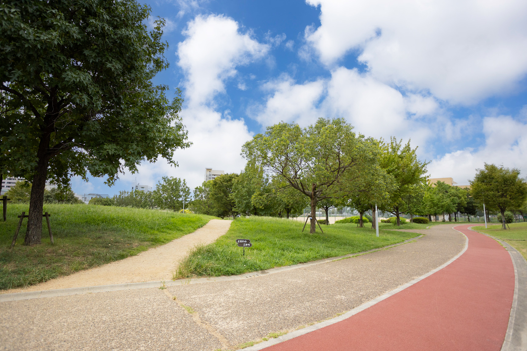 西代蓮池公園の画像