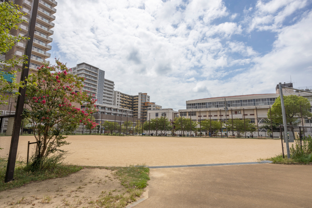 若松公園の画像